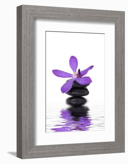 Beautiful Orchid and Stone with Water Reflection-crystalfoto-Framed Photographic Print