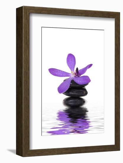 Beautiful Orchid and Stone with Water Reflection-crystalfoto-Framed Photographic Print