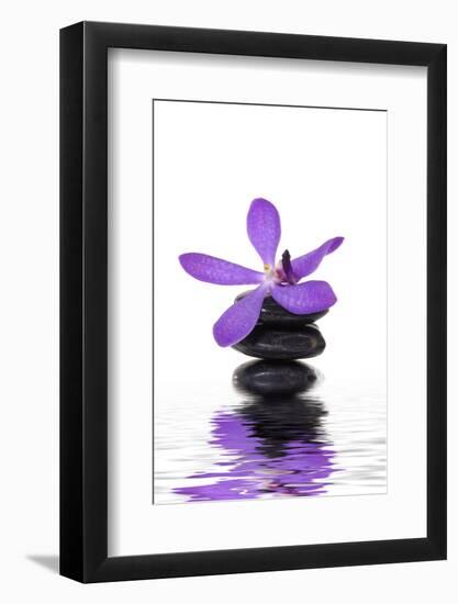 Beautiful Orchid and Stone with Water Reflection-crystalfoto-Framed Photographic Print