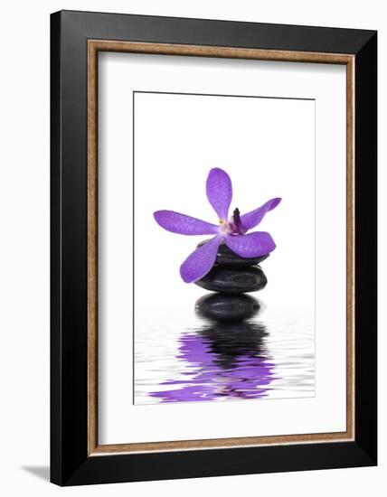 Beautiful Orchid and Stone with Water Reflection-crystalfoto-Framed Photographic Print