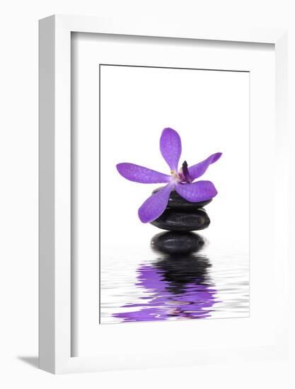 Beautiful Orchid and Stone with Water Reflection-crystalfoto-Framed Photographic Print