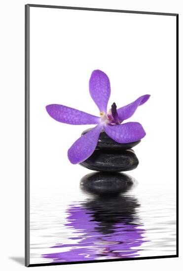 Beautiful Orchid and Stone with Water Reflection-crystalfoto-Mounted Photographic Print