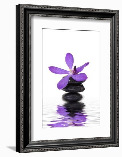 Beautiful Orchid and Stone with Water Reflection-crystalfoto-Framed Photographic Print