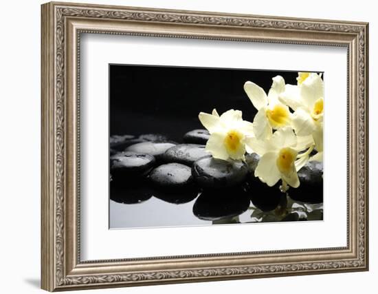 Beautiful Orchid and Stone with Water Reflection-crystalfoto-Framed Photographic Print