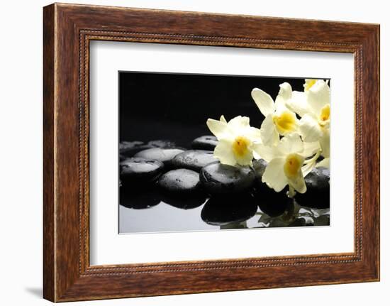 Beautiful Orchid and Stone with Water Reflection-crystalfoto-Framed Photographic Print