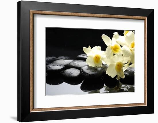 Beautiful Orchid and Stone with Water Reflection-crystalfoto-Framed Photographic Print