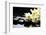 Beautiful Orchid and Stone with Water Reflection-crystalfoto-Framed Photographic Print