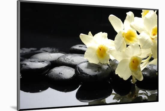 Beautiful Orchid and Stone with Water Reflection-crystalfoto-Mounted Photographic Print
