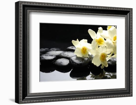 Beautiful Orchid and Stone with Water Reflection-crystalfoto-Framed Photographic Print