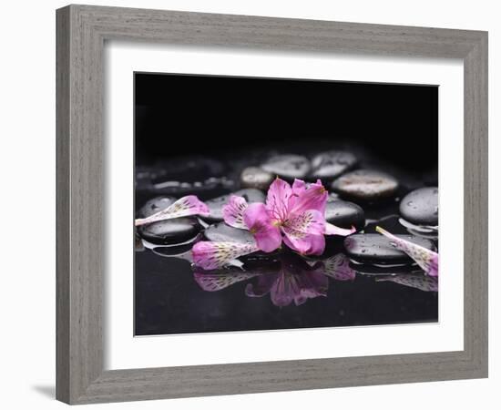 Beautiful Orchid Petals with Black Stones-crystalfoto-Framed Photographic Print