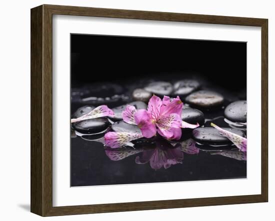 Beautiful Orchid Petals with Black Stones-crystalfoto-Framed Photographic Print