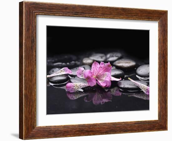 Beautiful Orchid Petals with Black Stones-crystalfoto-Framed Photographic Print