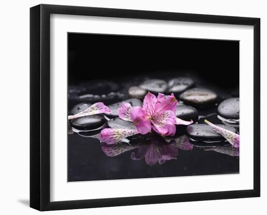 Beautiful Orchid Petals with Black Stones-crystalfoto-Framed Photographic Print