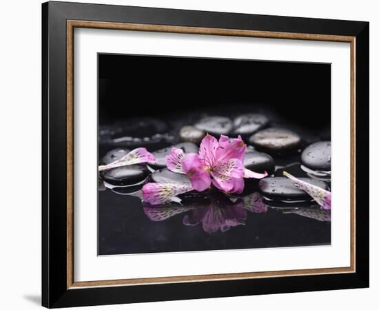 Beautiful Orchid Petals with Black Stones-crystalfoto-Framed Photographic Print