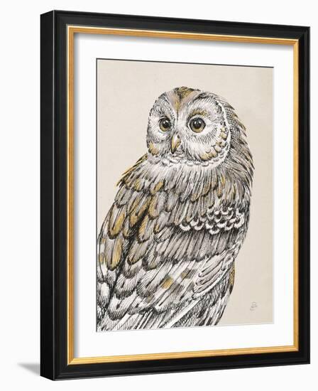 Beautiful Owls III Vintage-Daphne Brissonnet-Framed Art Print