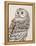 Beautiful Owls III Vintage-Daphne Brissonnet-Framed Stretched Canvas
