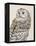 Beautiful Owls III Vintage-Daphne Brissonnet-Framed Stretched Canvas