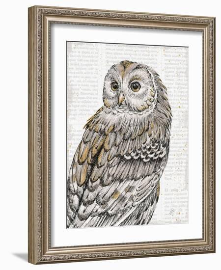 Beautiful Owls III-Daphne Brissonnet-Framed Art Print
