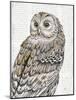 Beautiful Owls III-Daphne Brissonnet-Mounted Art Print