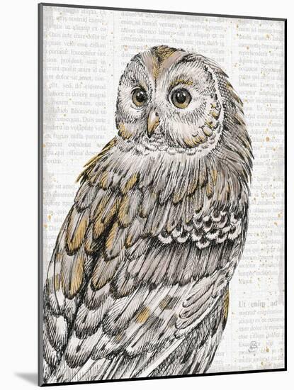 Beautiful Owls III-Daphne Brissonnet-Mounted Art Print