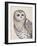 Beautiful Owls IV Vintage-Daphne Brissonnet-Framed Art Print