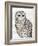 Beautiful Owls IV-Daphne Brissonnet-Framed Premium Giclee Print