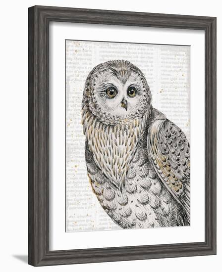 Beautiful Owls IV-Daphne Brissonnet-Framed Premium Giclee Print