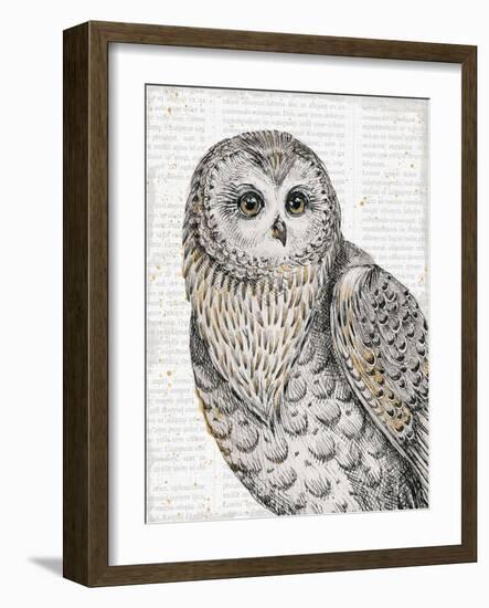 Beautiful Owls IV-Daphne Brissonnet-Framed Premium Giclee Print