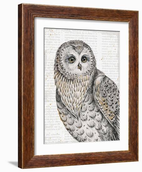 Beautiful Owls IV-Daphne Brissonnet-Framed Premium Giclee Print