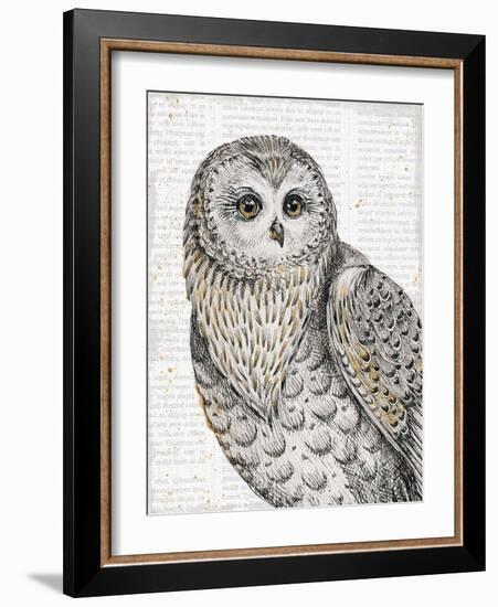 Beautiful Owls IV-Daphne Brissonnet-Framed Premium Giclee Print