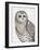 Beautiful Owls IV-Daphne Brissonnet-Framed Premium Giclee Print