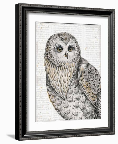 Beautiful Owls IV-Daphne Brissonnet-Framed Premium Giclee Print