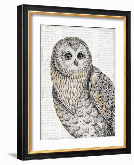 Beautiful Owls IV-Daphne Brissonnet-Framed Premium Giclee Print