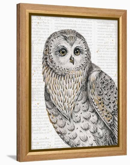 Beautiful Owls IV-Daphne Brissonnet-Framed Stretched Canvas
