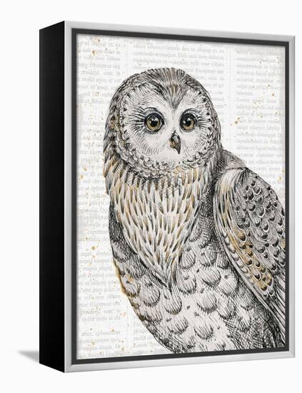 Beautiful Owls IV-Daphne Brissonnet-Framed Stretched Canvas