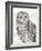 Beautiful Owls IV-Daphne Brissonnet-Framed Art Print