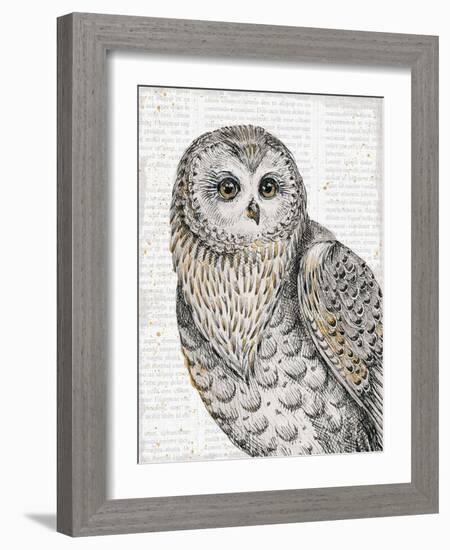 Beautiful Owls IV-Daphne Brissonnet-Framed Art Print