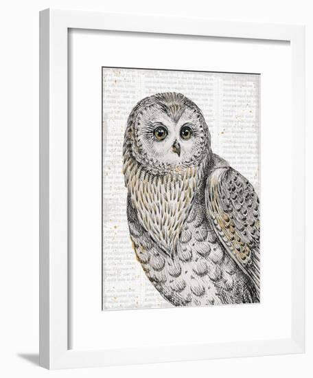 Beautiful Owls IV-Daphne Brissonnet-Framed Art Print