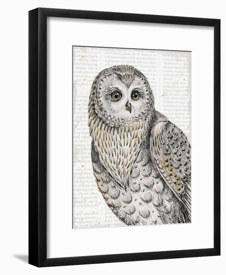 Beautiful Owls IV-Daphne Brissonnet-Framed Art Print