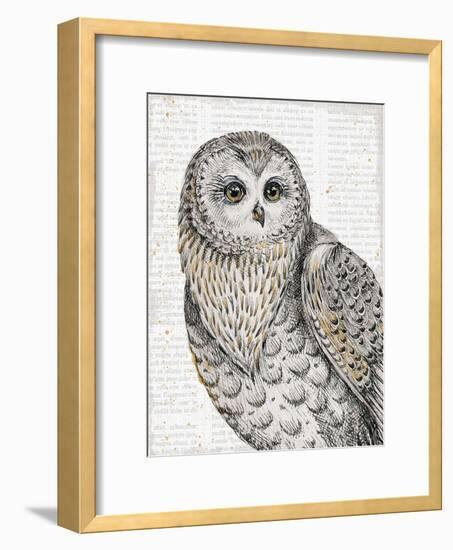 Beautiful Owls IV-Daphne Brissonnet-Framed Art Print