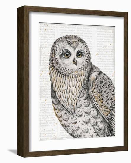 Beautiful Owls IV-Daphne Brissonnet-Framed Art Print