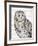 Beautiful Owls IV-Daphne Brissonnet-Framed Art Print