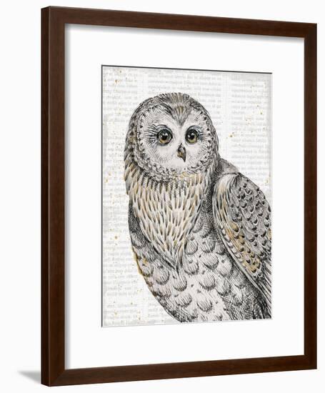 Beautiful Owls IV-Daphne Brissonnet-Framed Art Print