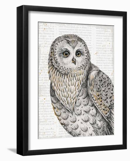 Beautiful Owls IV-Daphne Brissonnet-Framed Art Print