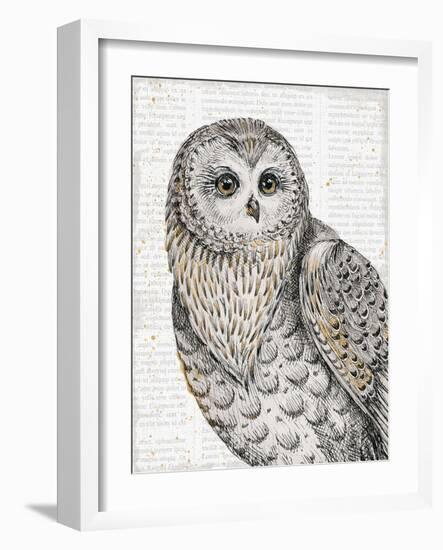 Beautiful Owls IV-Daphne Brissonnet-Framed Art Print