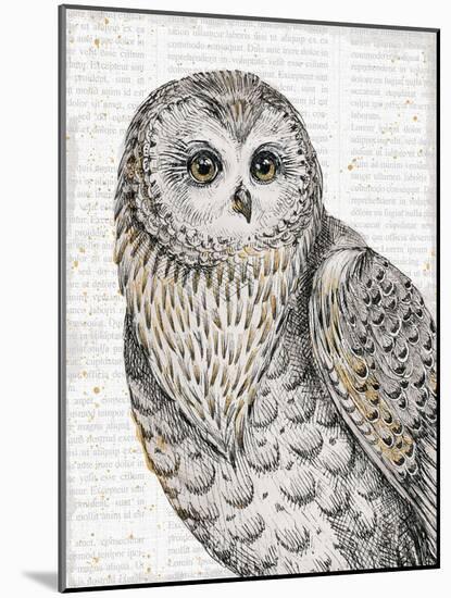 Beautiful Owls IV-Daphne Brissonnet-Mounted Art Print