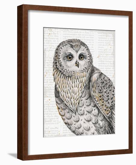 Beautiful Owls IV-Daphne Brissonnet-Framed Art Print