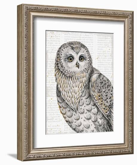 Beautiful Owls IV-Daphne Brissonnet-Framed Art Print