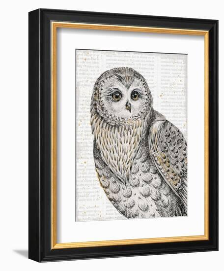 Beautiful Owls IV-Daphne Brissonnet-Framed Art Print