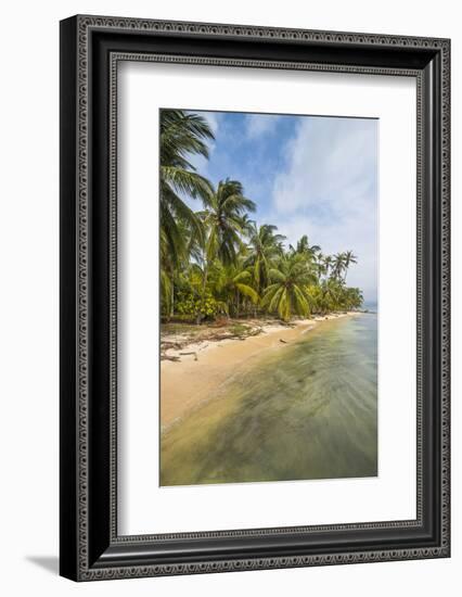 Beautiful palm fringed beach, Achutupu, San Blas Islands, Kuna Yala, Panama, Central America-Michael Runkel-Framed Photographic Print